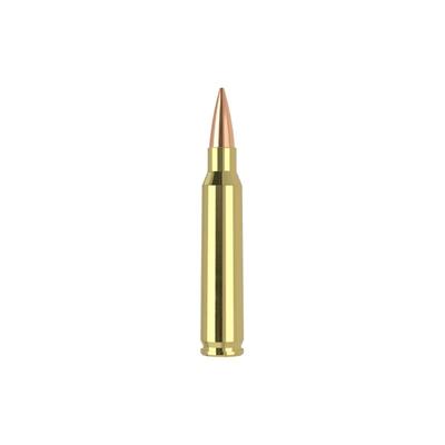 nosler 223 rem hpbt rdf 70gr