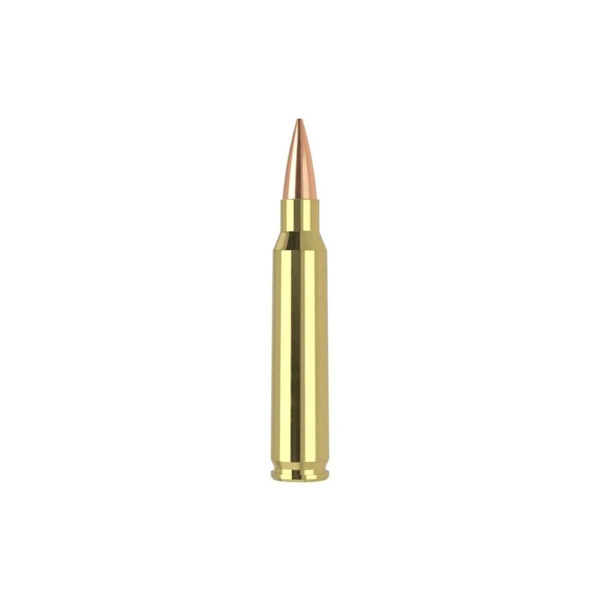 nosler 223 rem hpbt rdf 70gr
