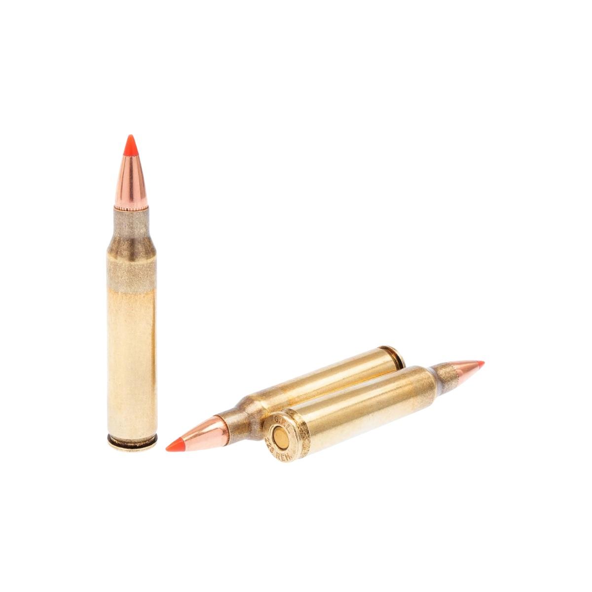 fiocchi 223 rem 55gr epn