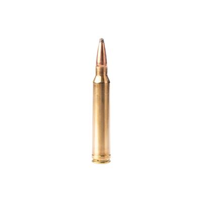 fiocchi 223 rem 55gr sp