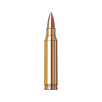 223 rem hornady bthp black 75gr 80267