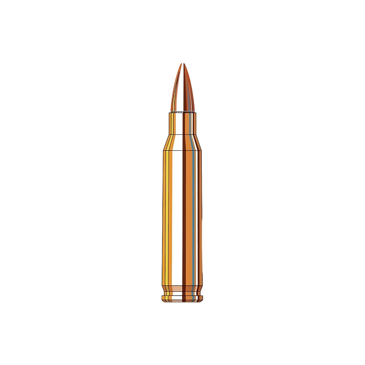 hornady fmj frontier 223 rem 55gr fr100
