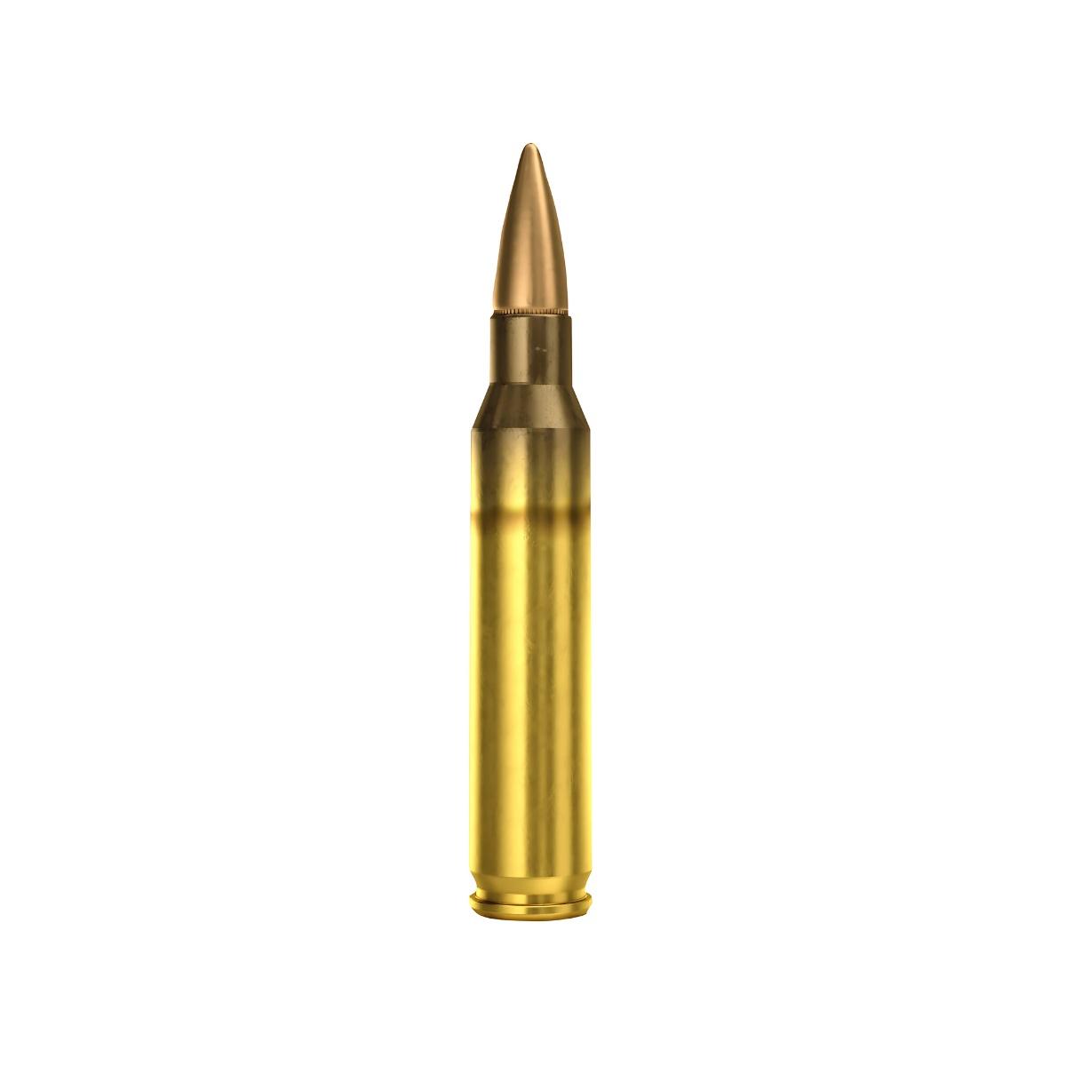 magtech 223 rem 55gr fmj