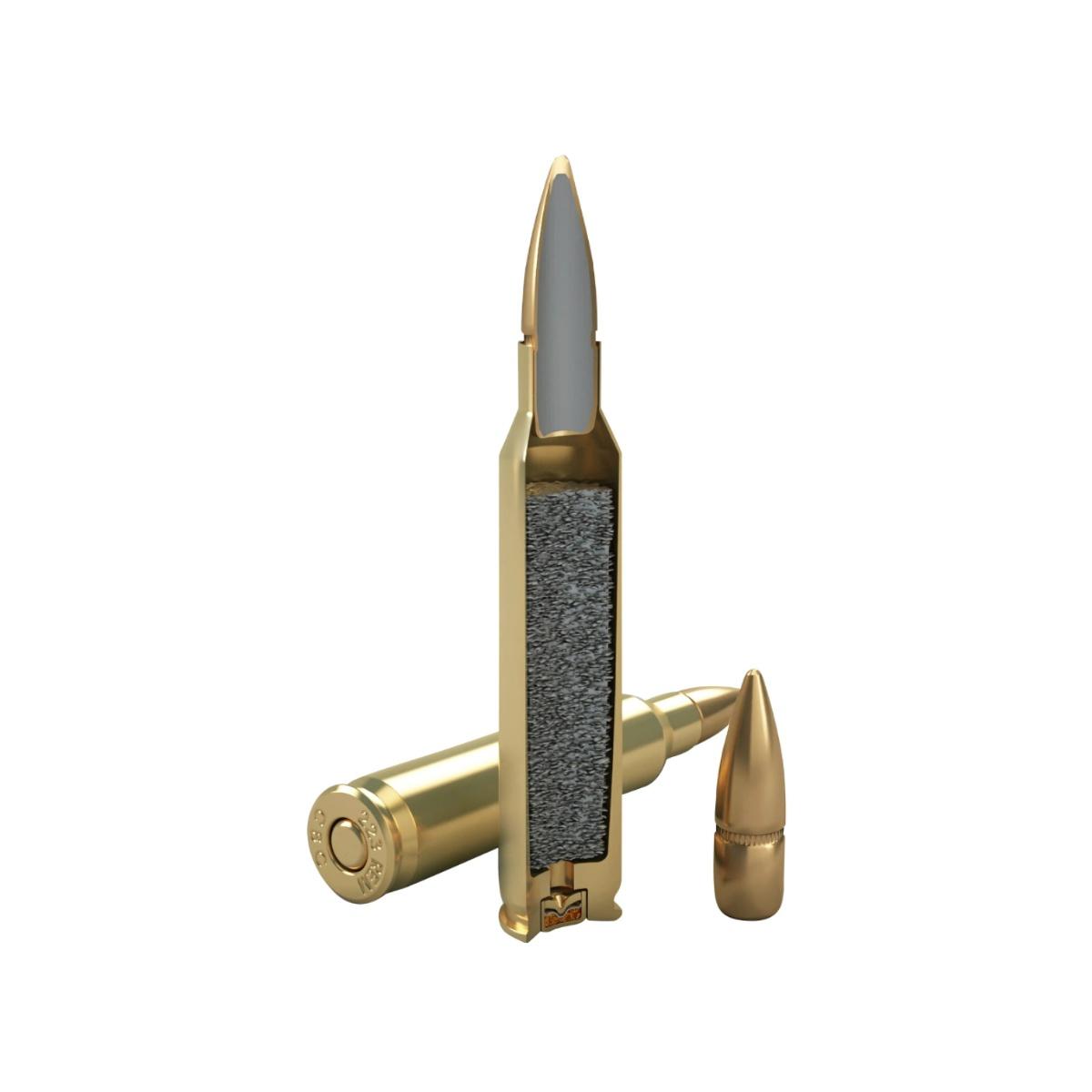 magtech 223 rem 55gr fmj