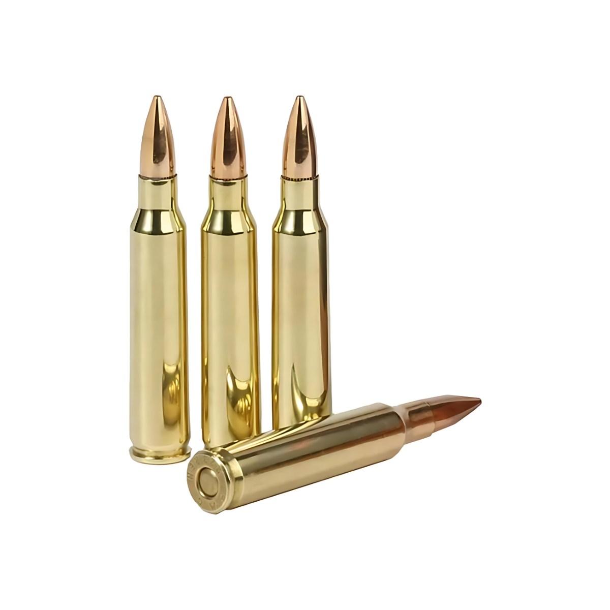 pmc 223 rem 55gr fmj