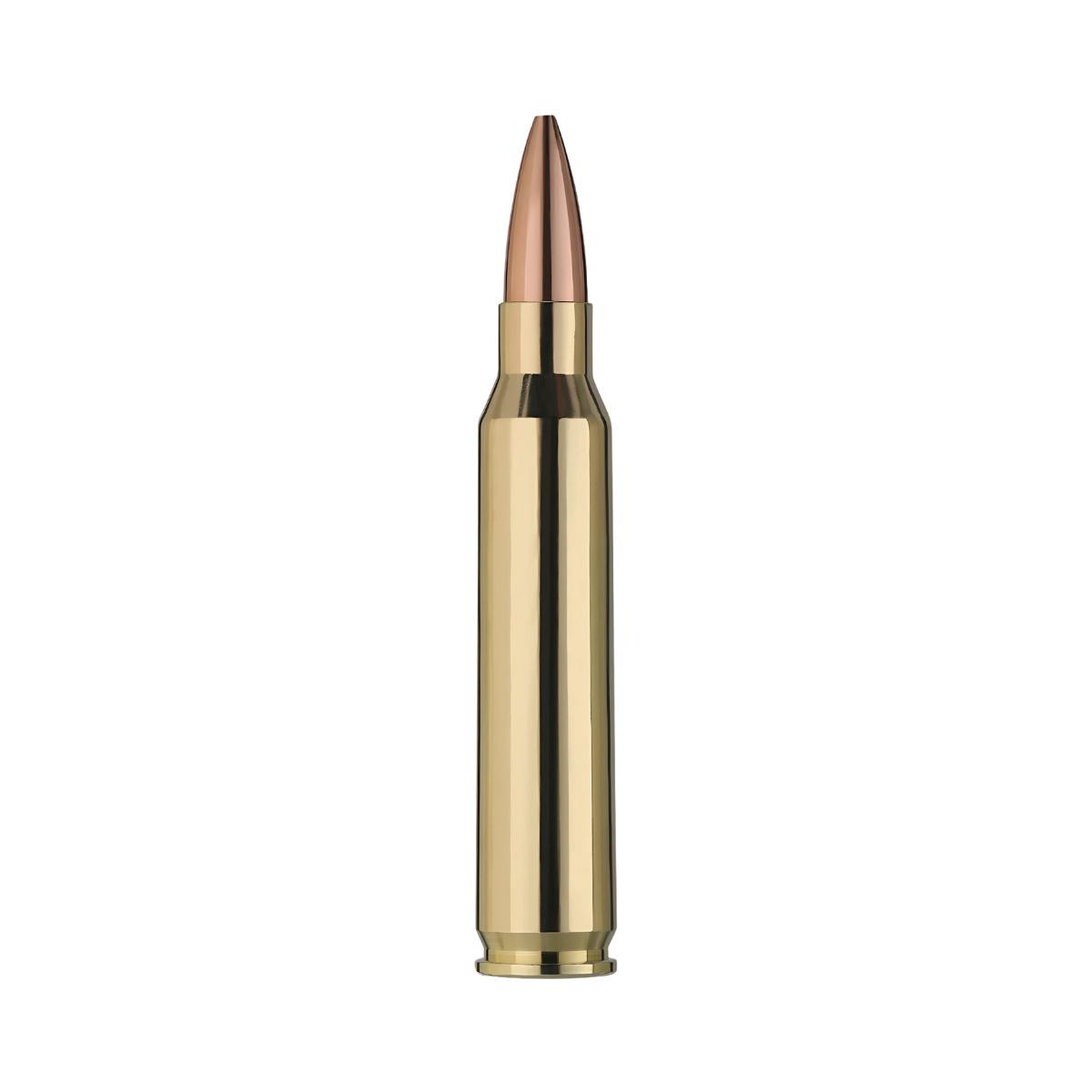 rws 223 rem target elite plus 69gr