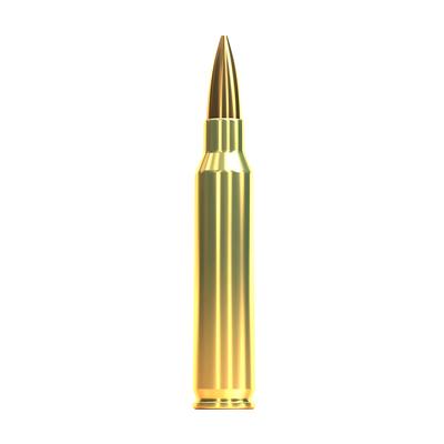 sellier bellot 223 rem 69gr hpbt
