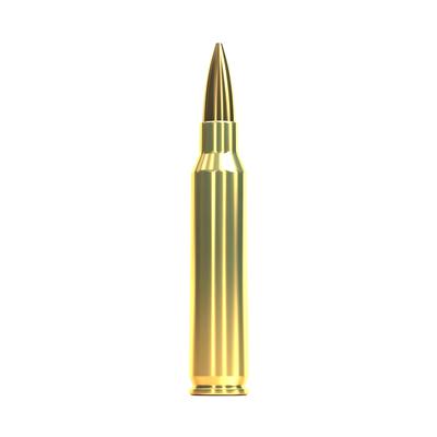 sellier bellot 223 rem 77gr hpbt