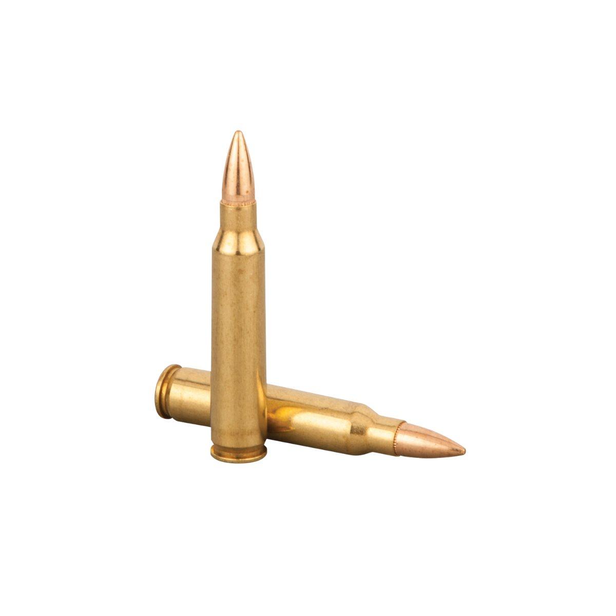 federal 223 rem american eagle fmjbt 62gr