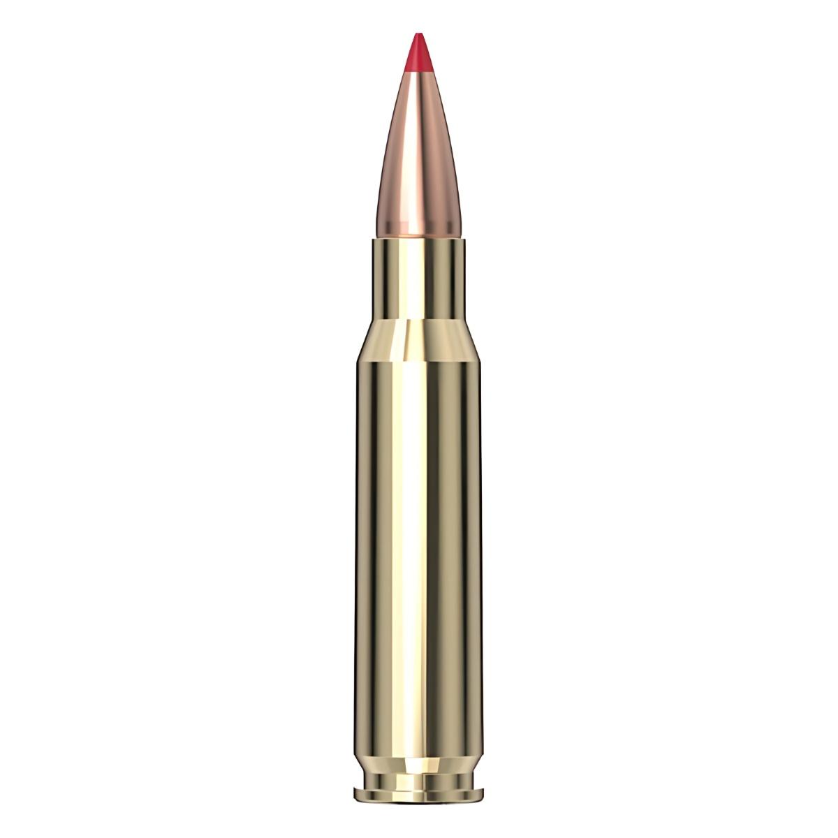 hornady cx superformance 308 win 165gr 80990