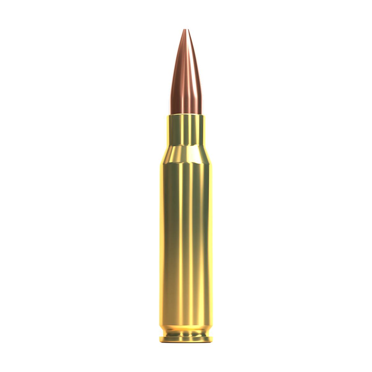 sellier bellot 308 win 10 9g fmj match