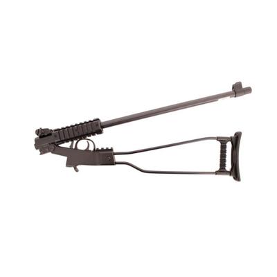chiappa little badger