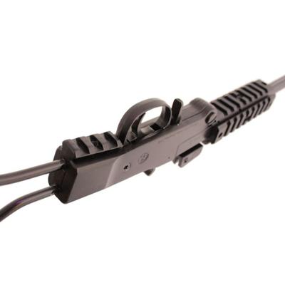 chiappa little badger
