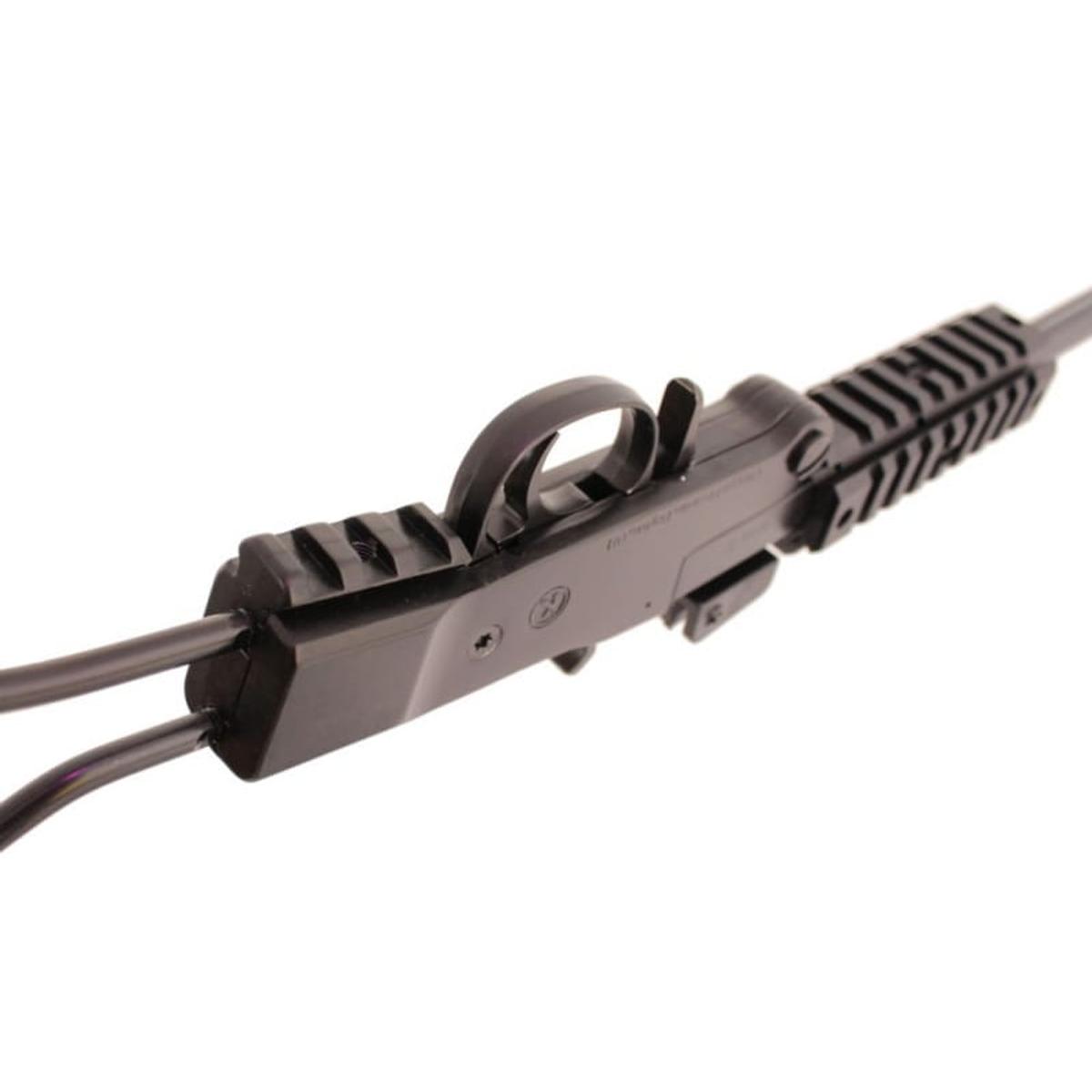 chiappa little badger
