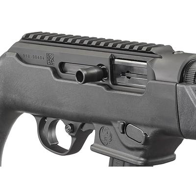 ruger pc carbine 19113