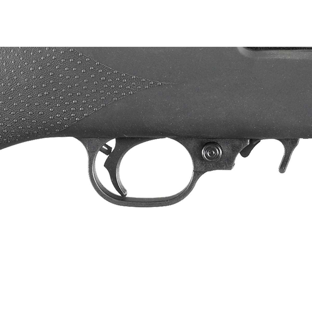 ruger 10 22 tactical 1261