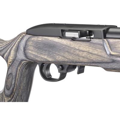 ruger 10 22 target 21186