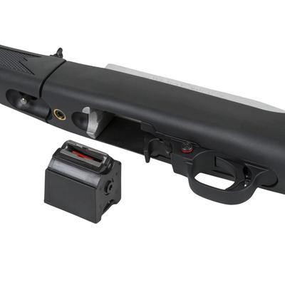 ruger 10 22 takedown ss 11100