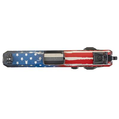 ruger sr22 usa edition 3642