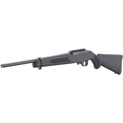 ruger 10 22 carbine 31210