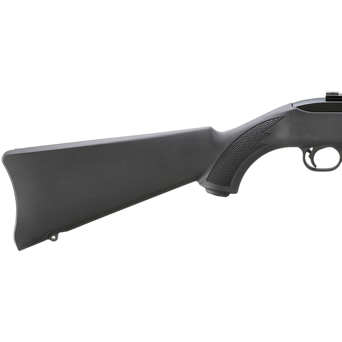 ruger 10 22 carbine 31210