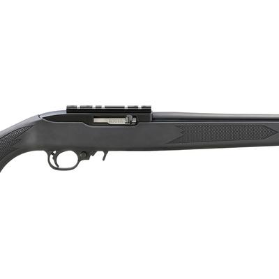 ruger 10 22 carbine 31210