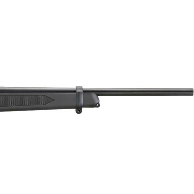 ruger 10 22 carbine 31210