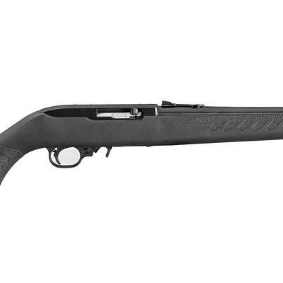 ruger 10 22 compact 31114