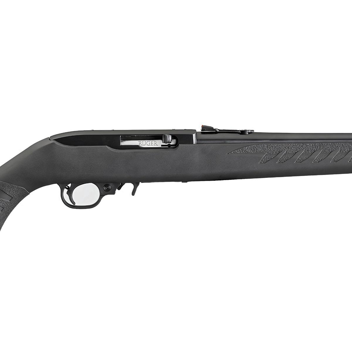 ruger 10 22 compact 31114
