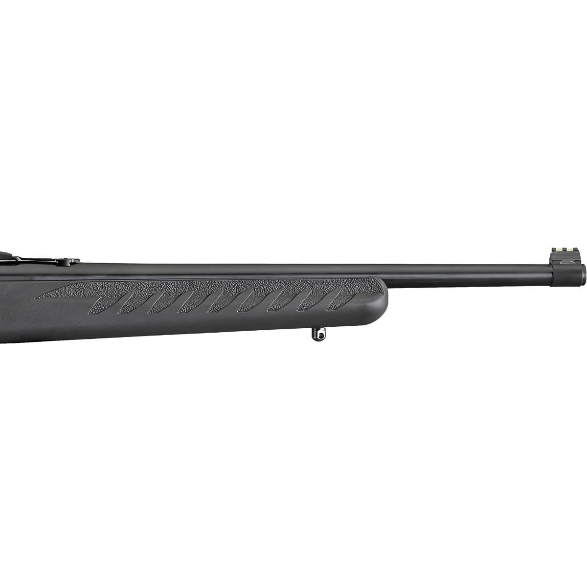 ruger 10 22 compact 31114