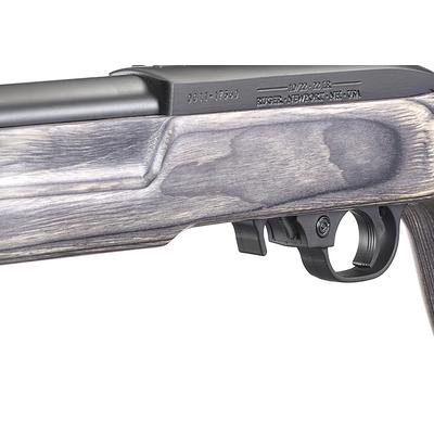 ruger 10 22 target 21186
