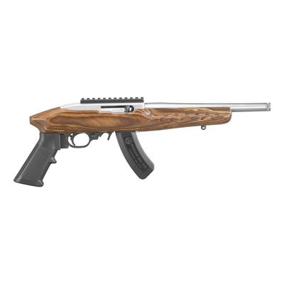 Ruger 22 Charger (4919)