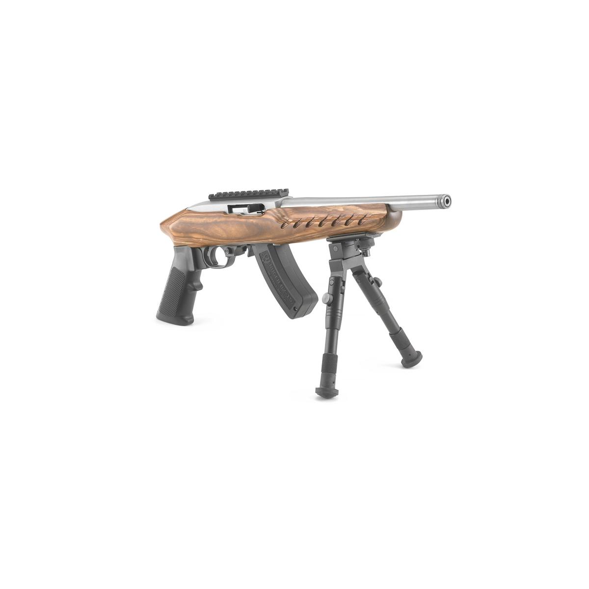 ruger 22 charger 4919