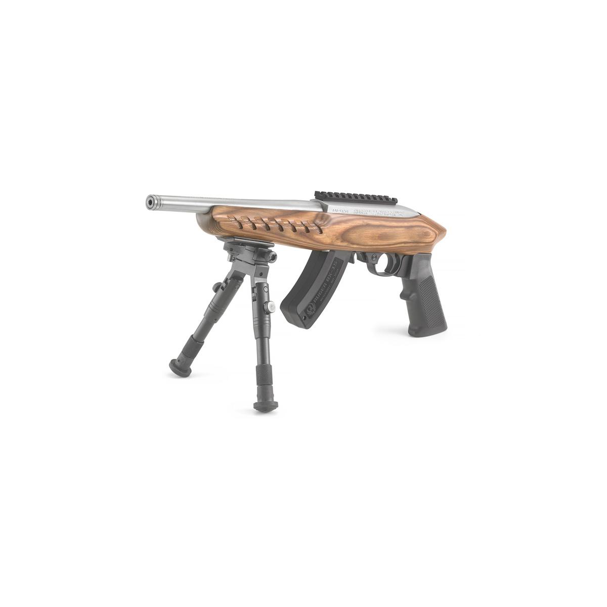 ruger 22 charger 4919