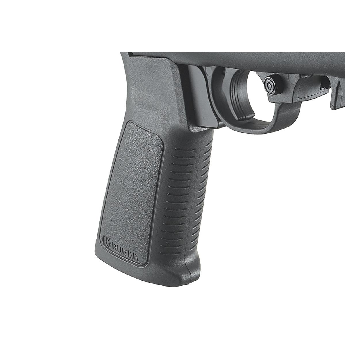 ruger 22 charger 4919