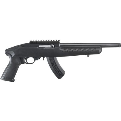 ruger 22 charger 4923