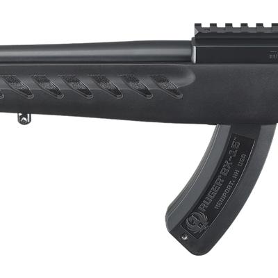 ruger 22 charger 4923