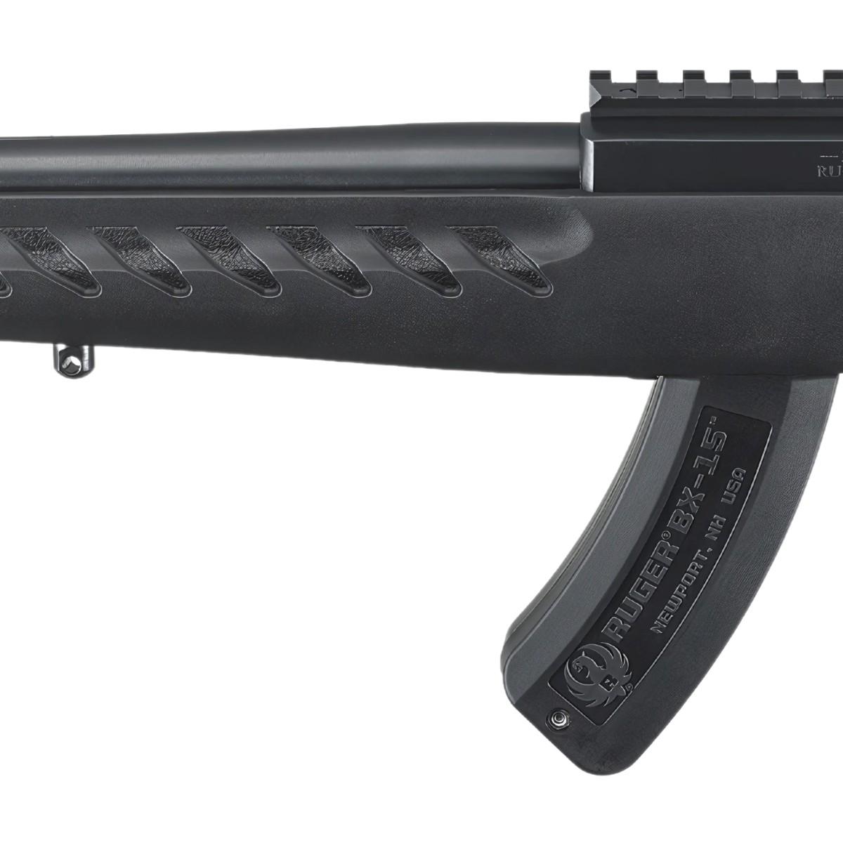 ruger 22 charger 4923