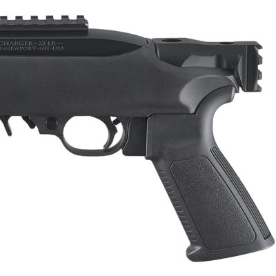 ruger 22 charger 4935