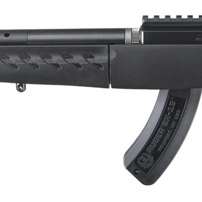ruger 22 charger 4935