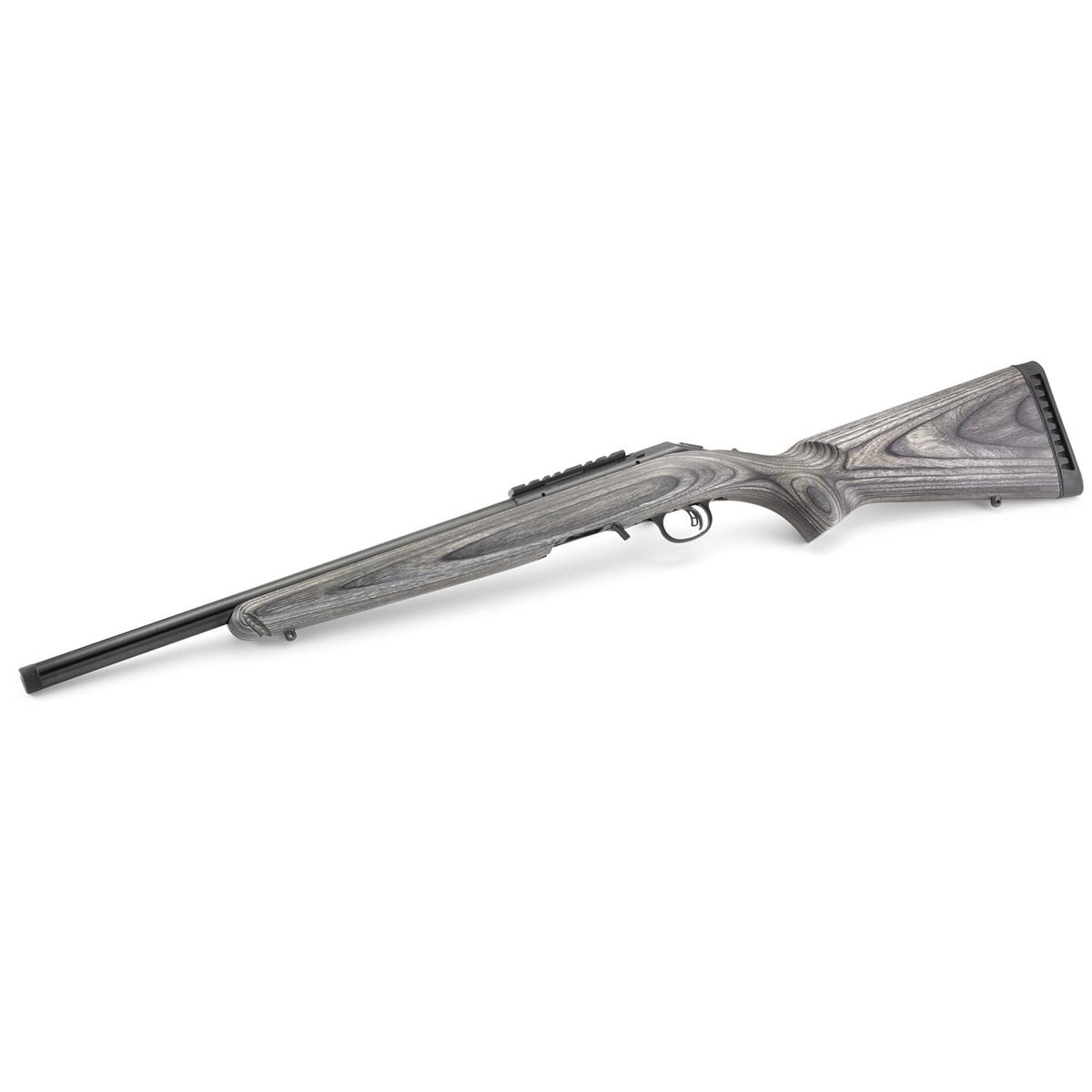 ruger american rimfire target 8348