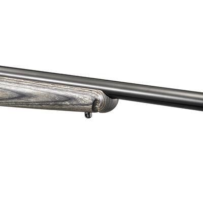 ruger american rimfire target 8348