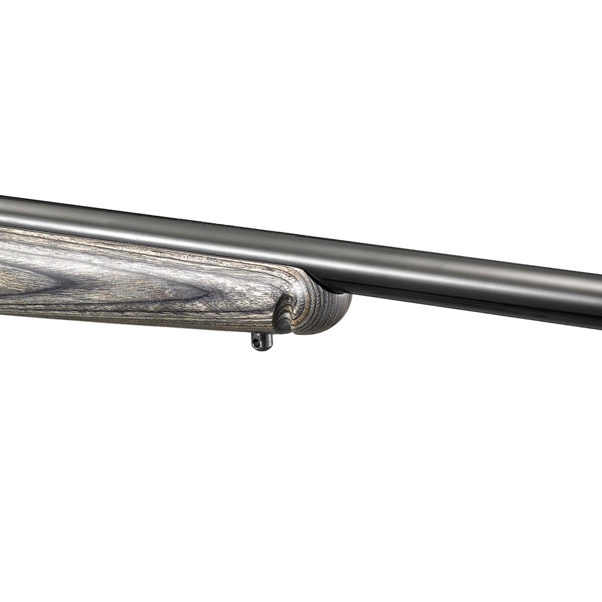 ruger american rimfire target 8348