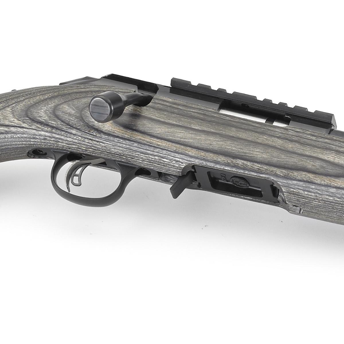 ruger american rimfire target 8348