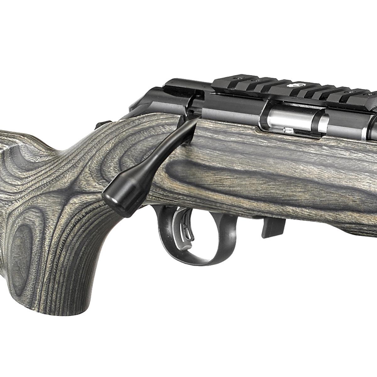 ruger american rimfire target 8348