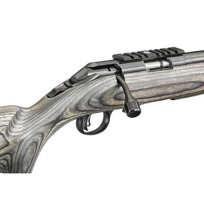 ruger american rimfire target 8348