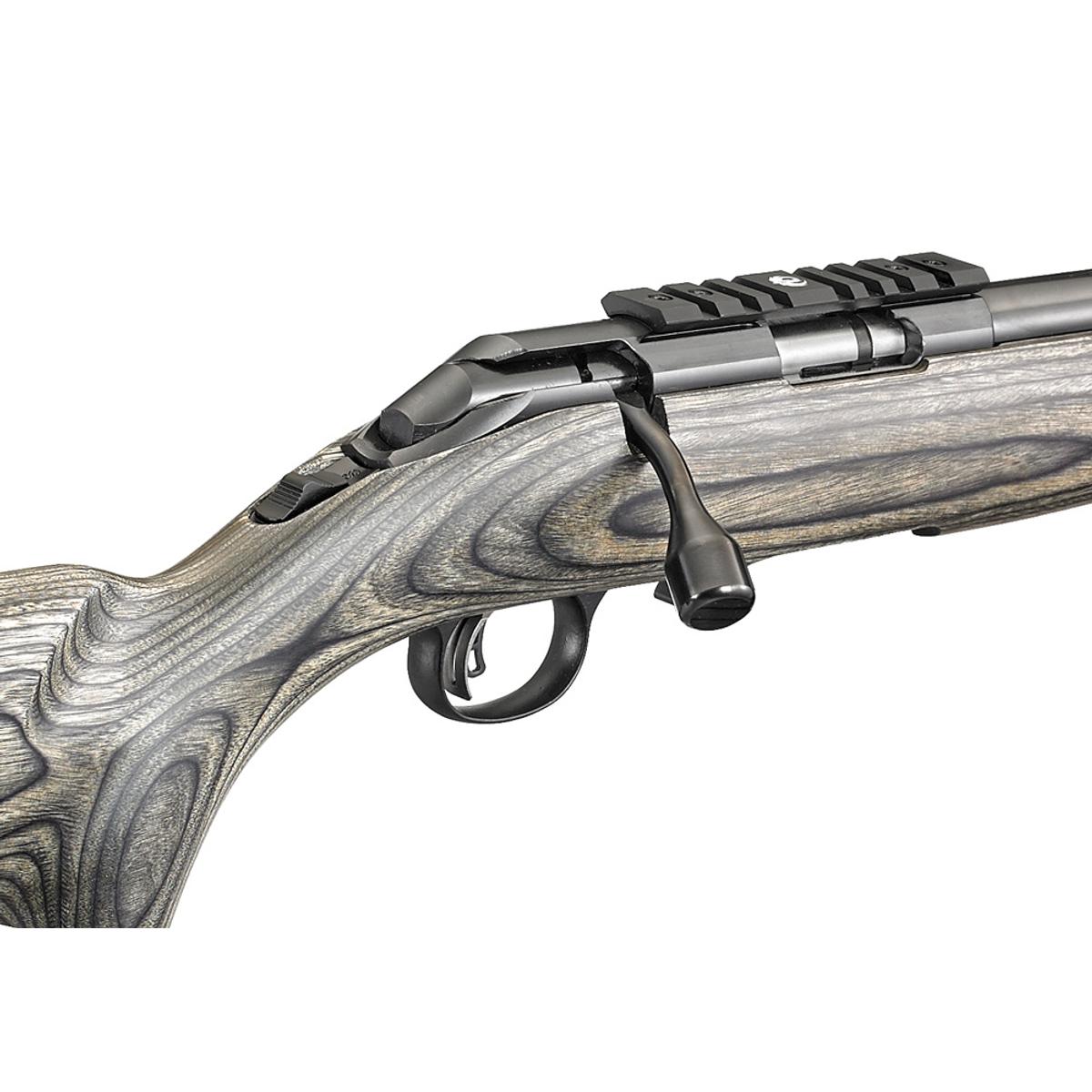 ruger american rimfire target 8348