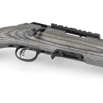 ruger american rimfire target thumbhole 8360