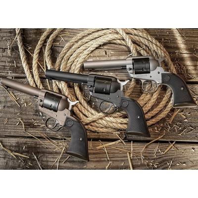 ruger wrangler 4 62 22lr 2004