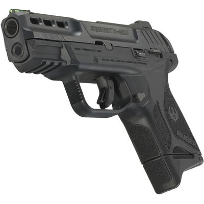 Ruger Security-380 (3839)